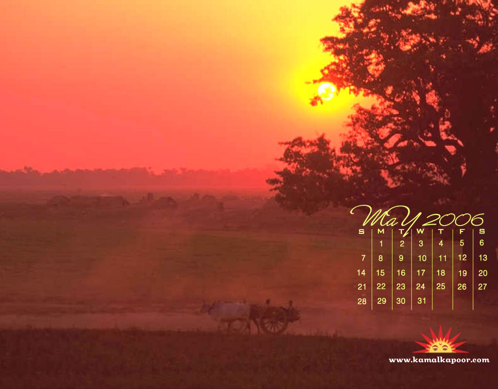 Sunset Calendars Wallpaper